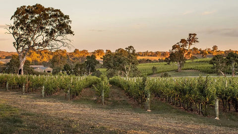 Adelaide Hills Red