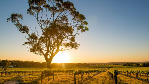 Barossa Valley