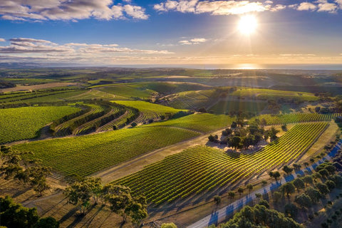 McLaren Vale