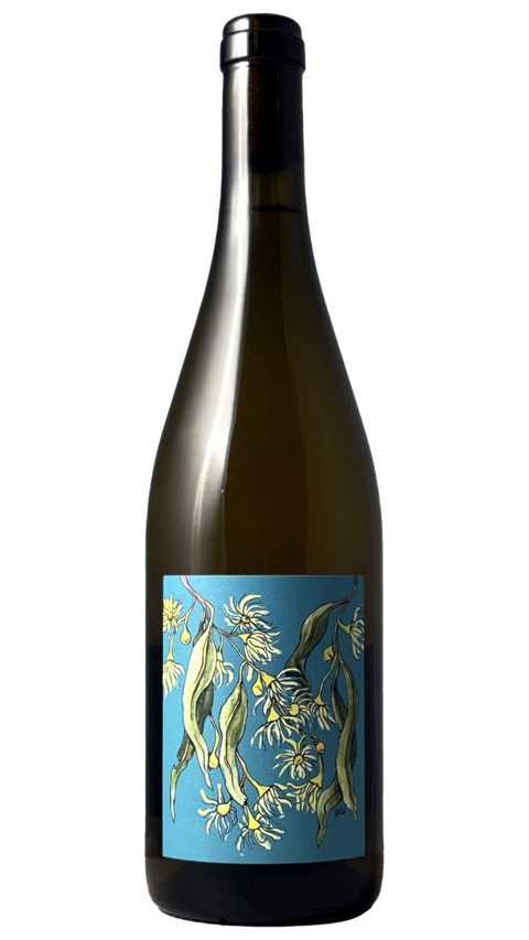 2021 Borachio, Savagnin